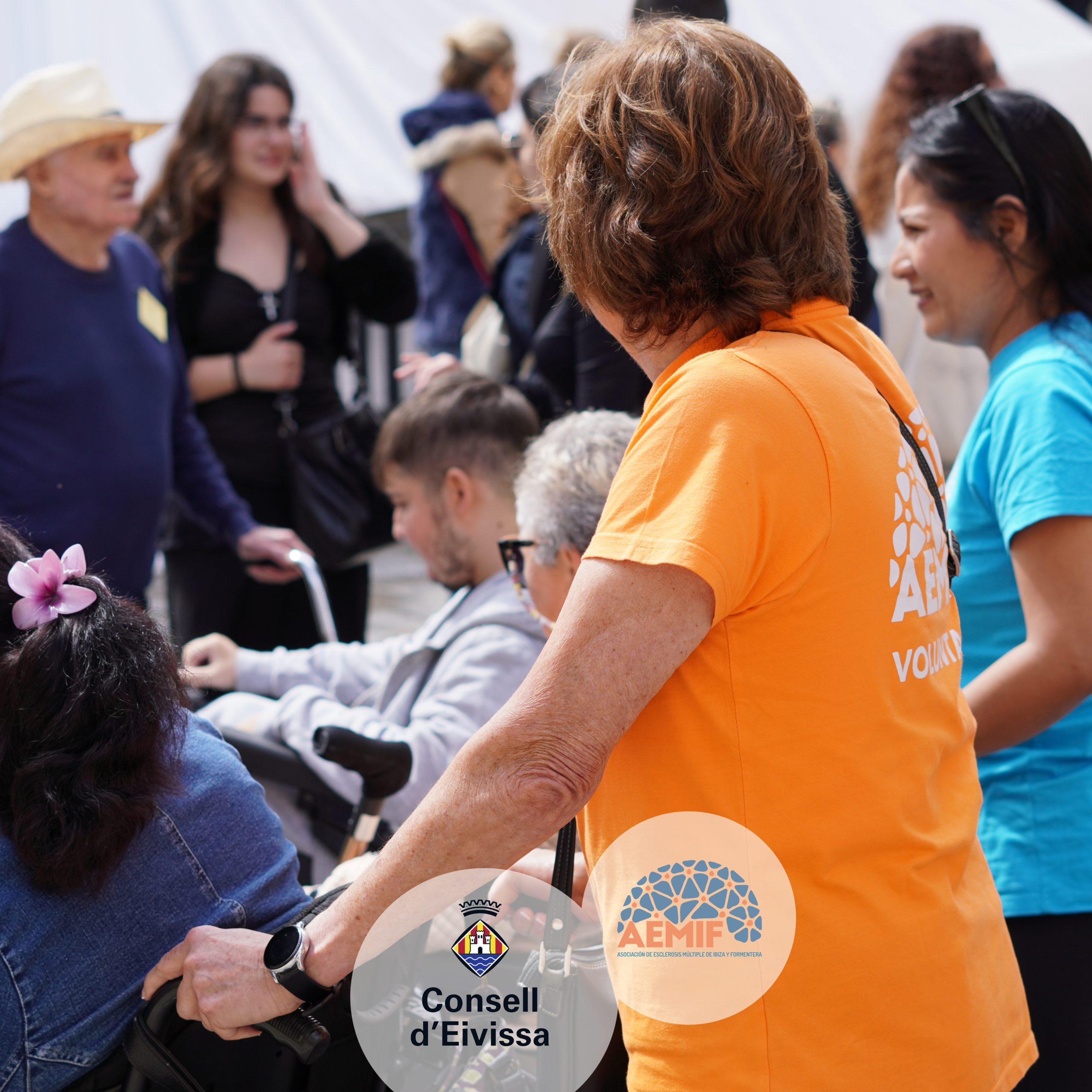 Voluntariado